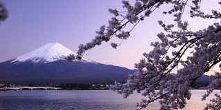 日本美丽的风景富士山樱花盛开
