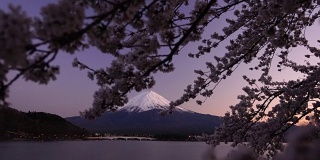 日本美丽的风景富士山樱花盛开