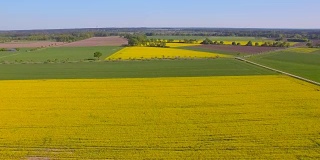油菜田和易北河附近的耕地鸟瞰图在地区Lüchow-Dannenberg在下萨克森州-德国