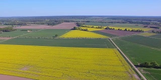 耕地和油菜籽田附近的鸟瞰图在地区Lüchow-Dannenberg在下萨克森州-德国