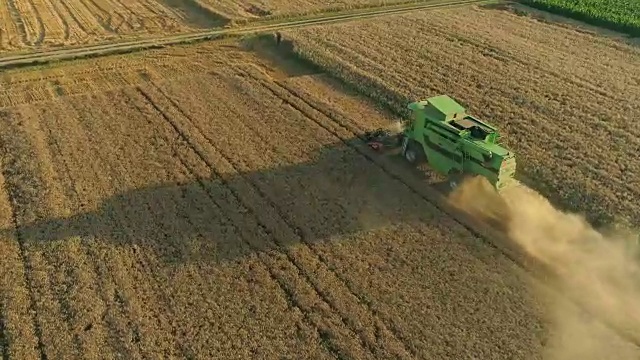 无人机的观点联合收割机收获阳光，农村小麦作物。