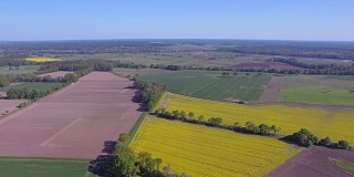 耕地和油菜籽田附近的鸟瞰图在地区Lüchow-Dannenberg在下萨克森州-德国