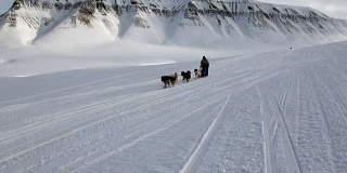 在北极圈北极，哈士奇爱斯基摩人骑着狗拉雪橇的白色雪道。