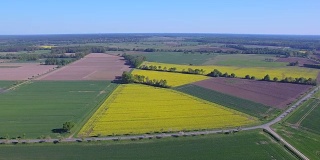 油菜田和易北河附近的耕地鸟瞰图在地区Lüchow-Dannenberg在下萨克森州-德国