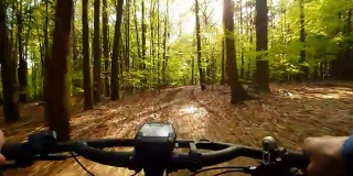 山地自行车穿过阳光明媚的春天森林