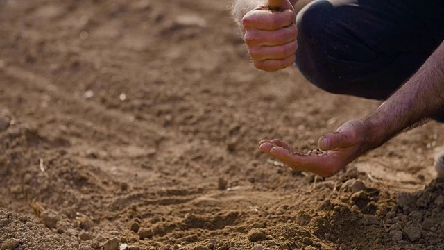农民对新鲜耕地土壤质量检测的探讨。