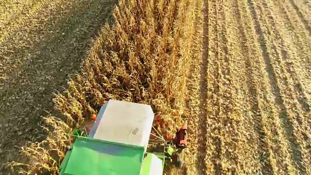 无人机视点联合收割机收获阳光，农村玉米作物，慢镜头