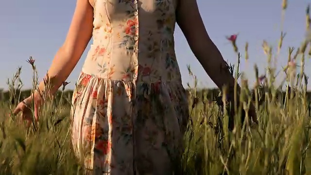 复古的女人在日落时走在绿色的麦田里