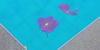 花漂浮在游泳池。