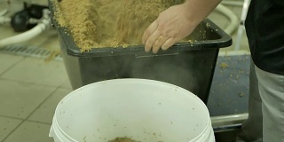 啤酒生产中的煮麦芽。