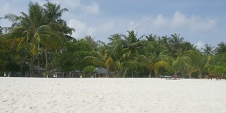 马尔代夫美丽的热带海滩，白色的沙滩和棕榈树