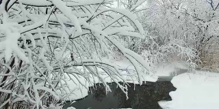 冬天被白雪覆盖的树木包围的小河