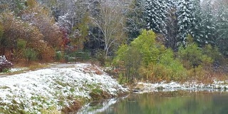 在新西伯利亚的Akademgorodok植物园池塘秋末和初冬季节有树木和雪