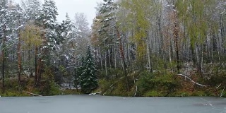 在新西伯利亚的Akademgorodok植物园池塘秋末和初冬季节有树木和雪