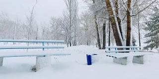 冬季公园雪下全景视频