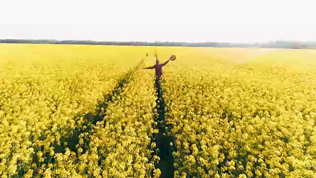 无人机拍摄的画面是农民在田园诗般的、阳光明媚的黄色菜籽田中奔跑的情景