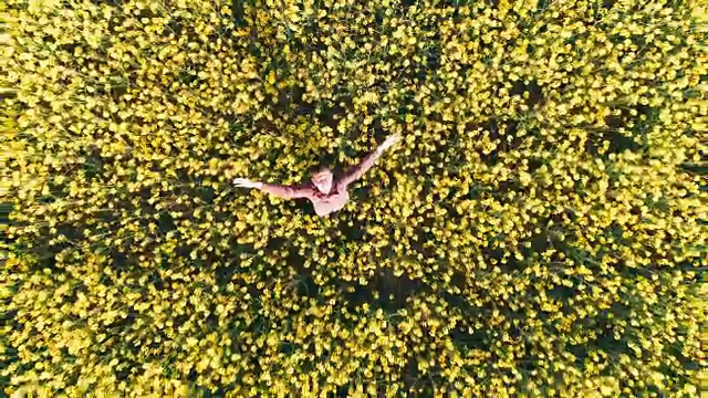 无人机镜头下，兴高采烈的农民在阳光明媚的黄色菜籽田里抛帽子，实时拍摄