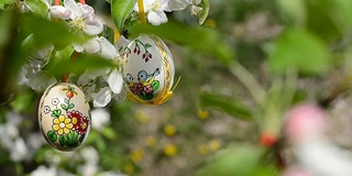 复活节彩蛋挂在花园里苹果树的细枝上