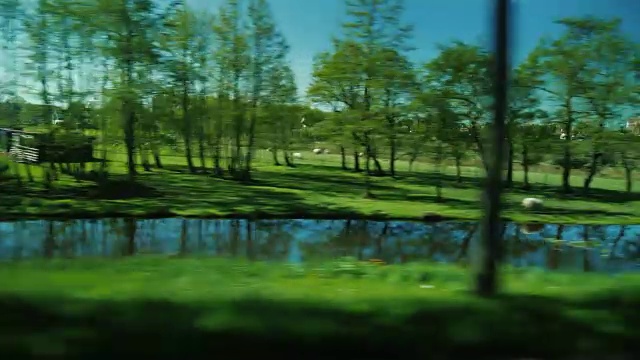 从车窗可以看到荷兰风景如画的乡村——绿色的草地和运河