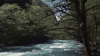 溪水向着河的方向流淌，两岸都是树木视频素材模板下载