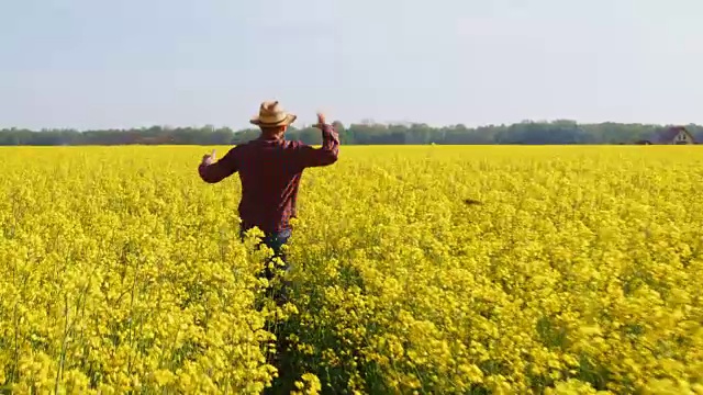 精力充沛的农民在阳光下奔跑，黄色的田园菜地，慢镜头