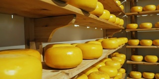 架子上放着一圈圈的农场奶酪