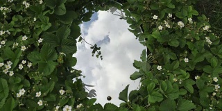 自然背景下的天空在镜子中的时间流逝