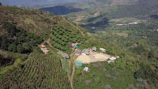 无人机在Doi chang咖啡农场飞行。视频素材模板下载