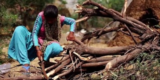 农村妇女砍伐树木