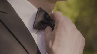 新郎身着婚礼礼服与蝴蝶相伴。西装，手，护理，领带，纠正，调整，时尚，蝴蝶结。Instagram颜色调色视频素材模板下载