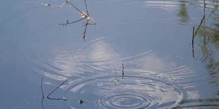 雨滴在水坑中荡漾，慢动作视频与蓝天反射
