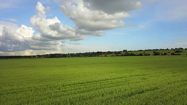 无人机在阳光明媚的日子里拍摄了大片绿色麦田，背景是天空和美丽的云彩
