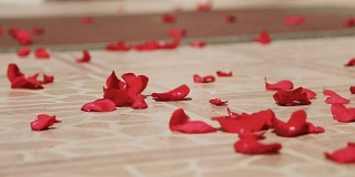 婚礼上地板上的花瓣