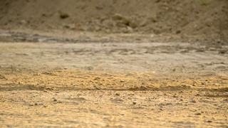 山地摩托车手在尘土中滑行视频素材模板下载