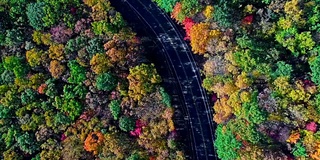 在阿巴拉契亚山，波科诺斯，宾夕法尼亚州的森林道路顶视图，秋天的树叶。空中无人机视频。