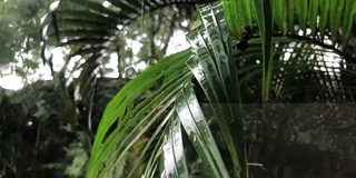 风景在雨天看，景色扔出窗外