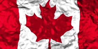在风中飘扬的加拿大国旗