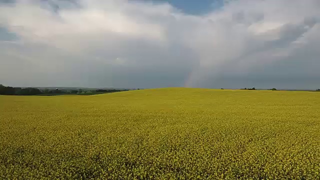 在瑞典的油菜地上空飞过彩虹。