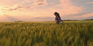 年轻的农家少女走着，抚摸着农村青葱的麦田，慢镜头