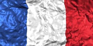 法国挥舞着国旗