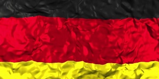 德国挥舞着国旗