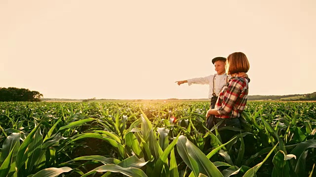 女农民和儿子站在阳光明媚、田园诗般的农村玉米地里，实时拍摄