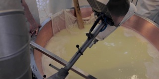 帕尔玛干酪的生产，从盐水中收获