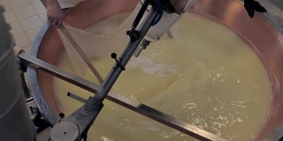 帕尔玛干酪的生产，从盐水中收获