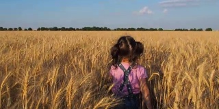 A child walks in a wheat field