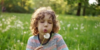 一个可爱的卷发男孩正在吹着蒲公英，背景是一片夏日的绿色林间空地。动态视频。孩子的一天