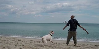 一个年轻人在海滩上和他的狗玩耍