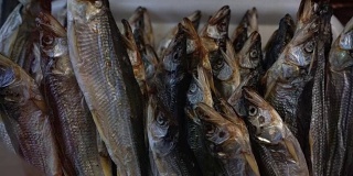 特写镜头显示在鱼市场柜台上的腌制干鱼