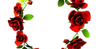 红色玫瑰框架上的白色文本空间