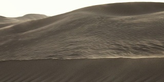 沙子在风吹沙丘，撒哈拉沙漠